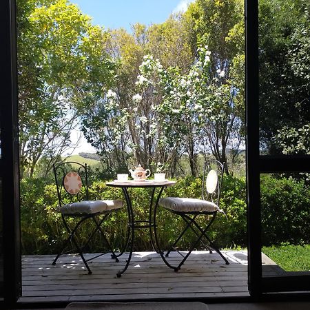 Dangela Boutique Lodge Auckland Room photo